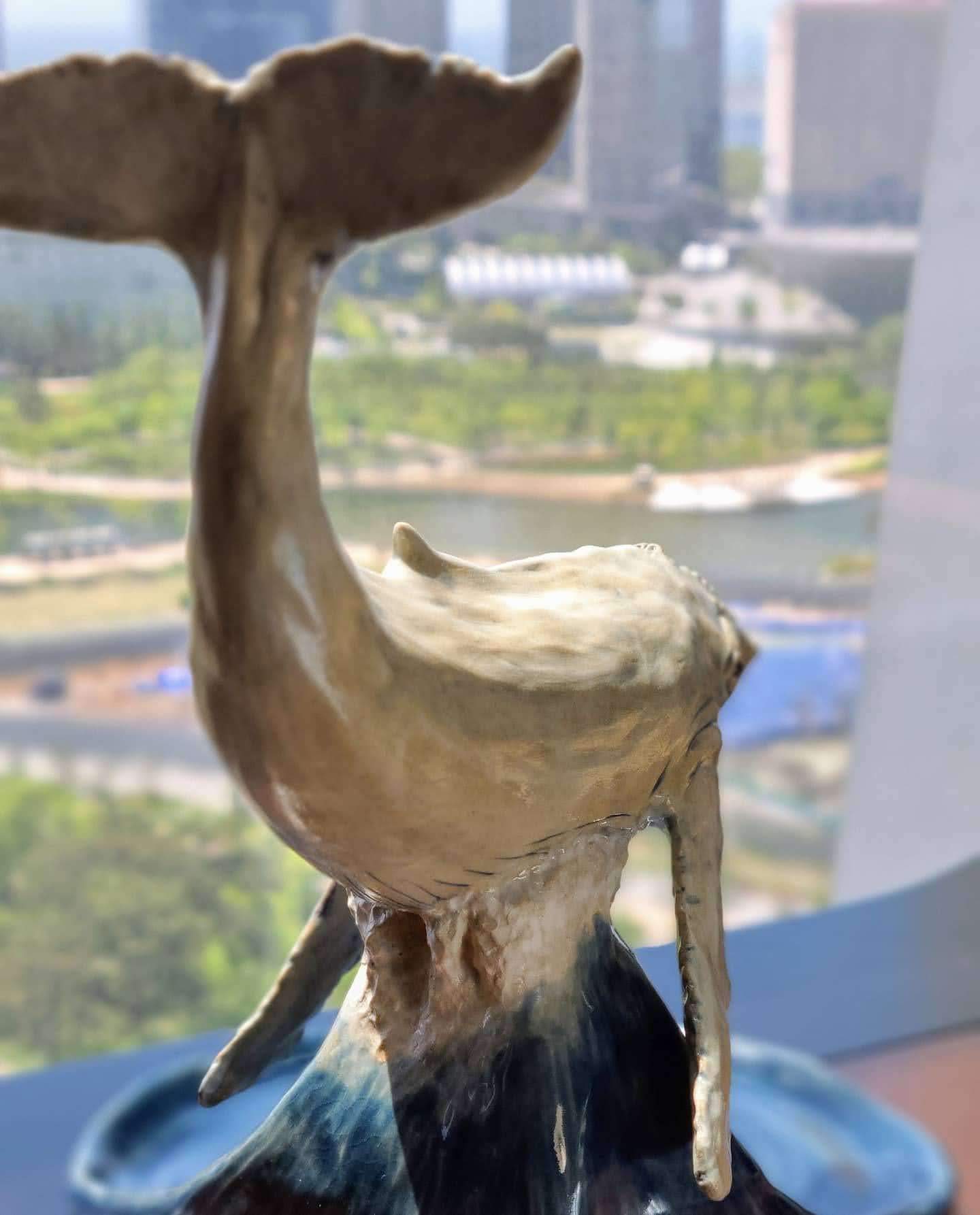 White Humpback Whale