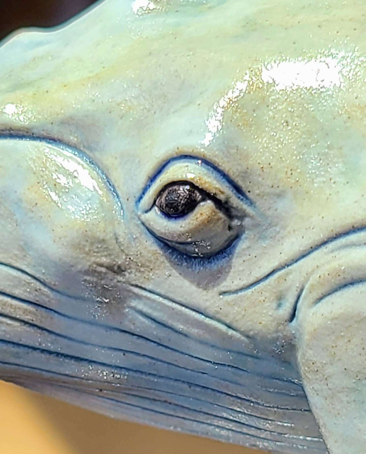 White Humpback Whale