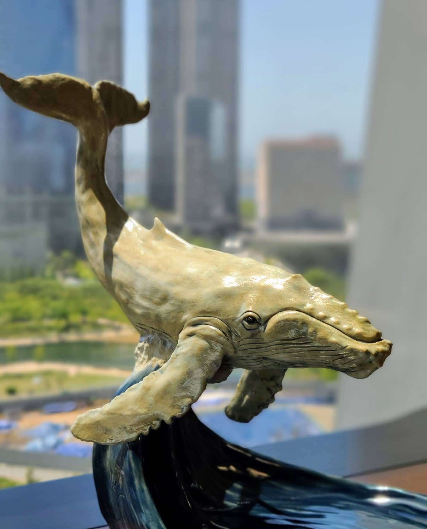 White Humpback Whale