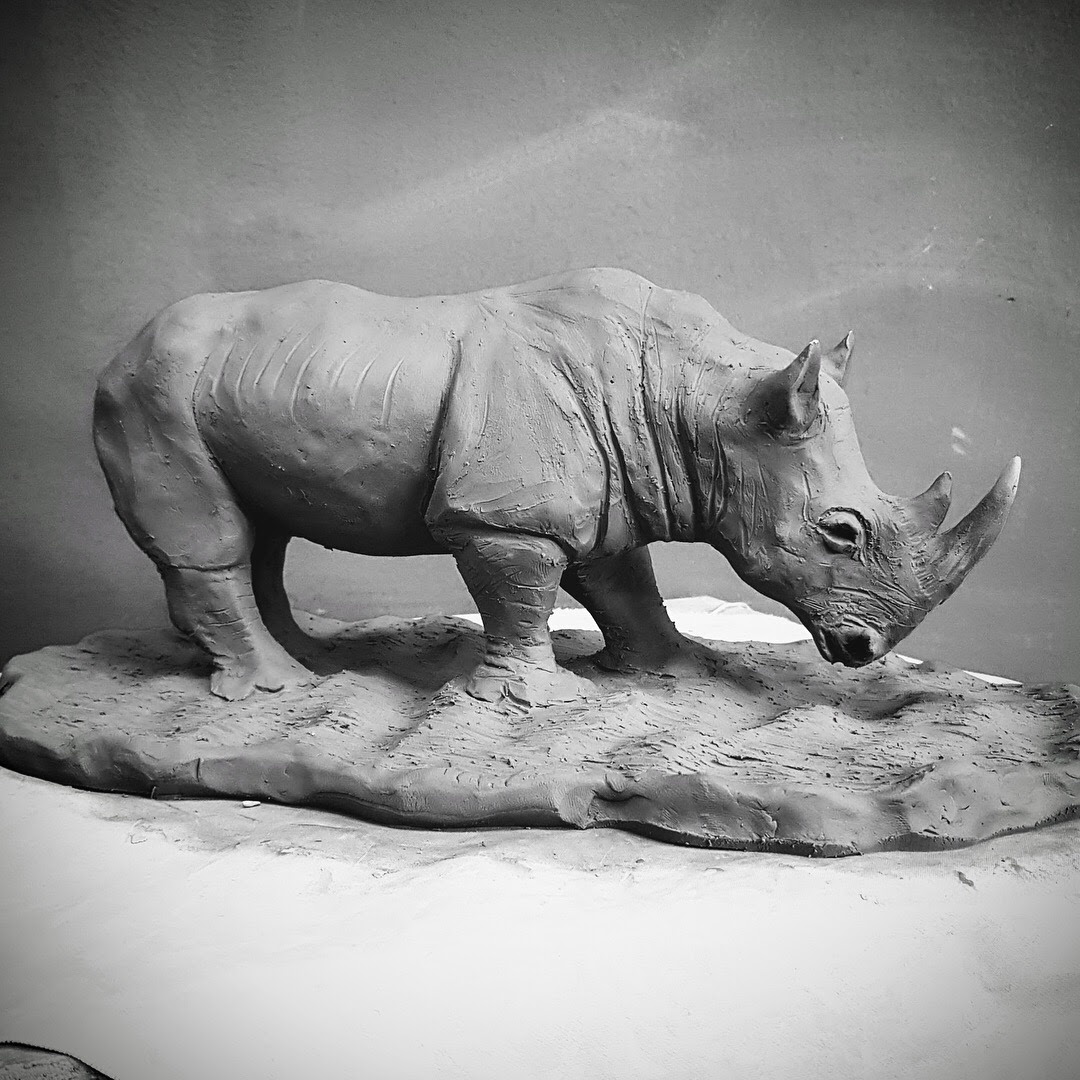 Rhinoceros in the Rain