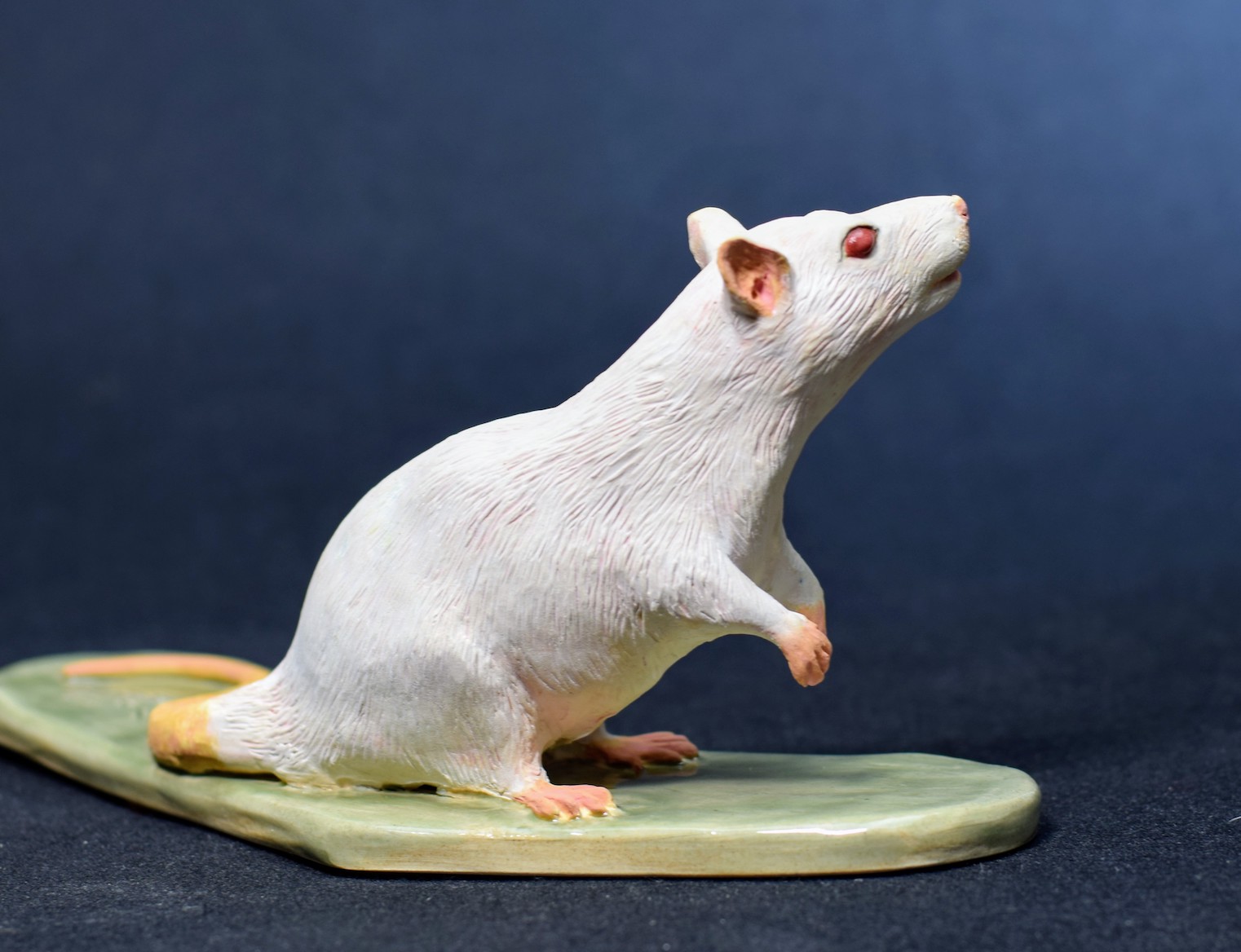 Chinese Hamster and Lab Rat Chinese Hamster and Lab Rat