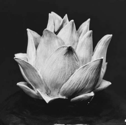 Lotus Flower Box 2