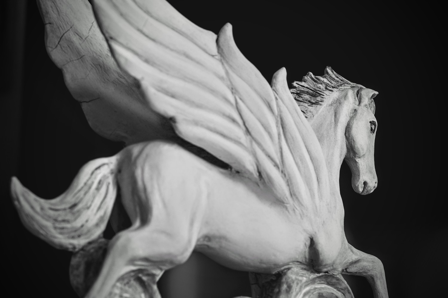 Pegasus