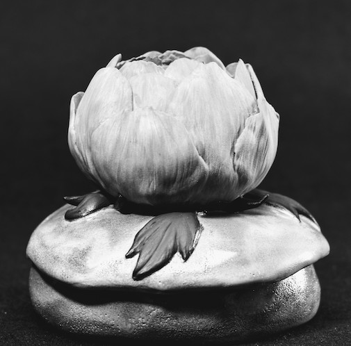 Peony Box