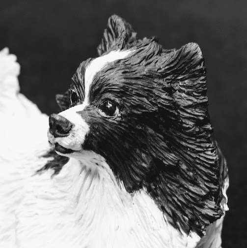 Pomeranian