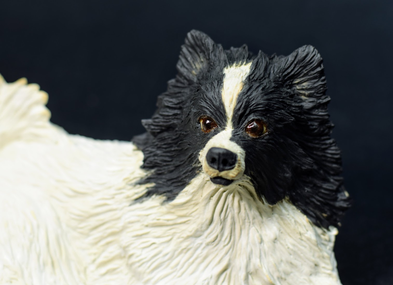 Pomeranian