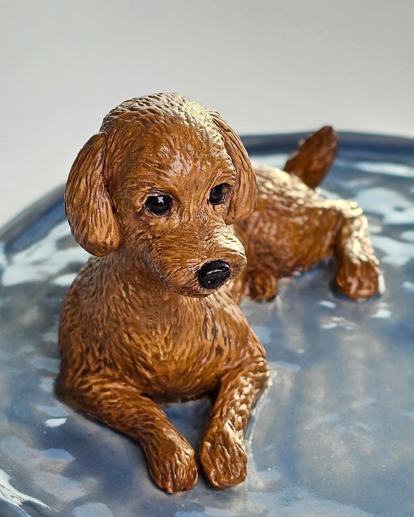 Poodle Poodle