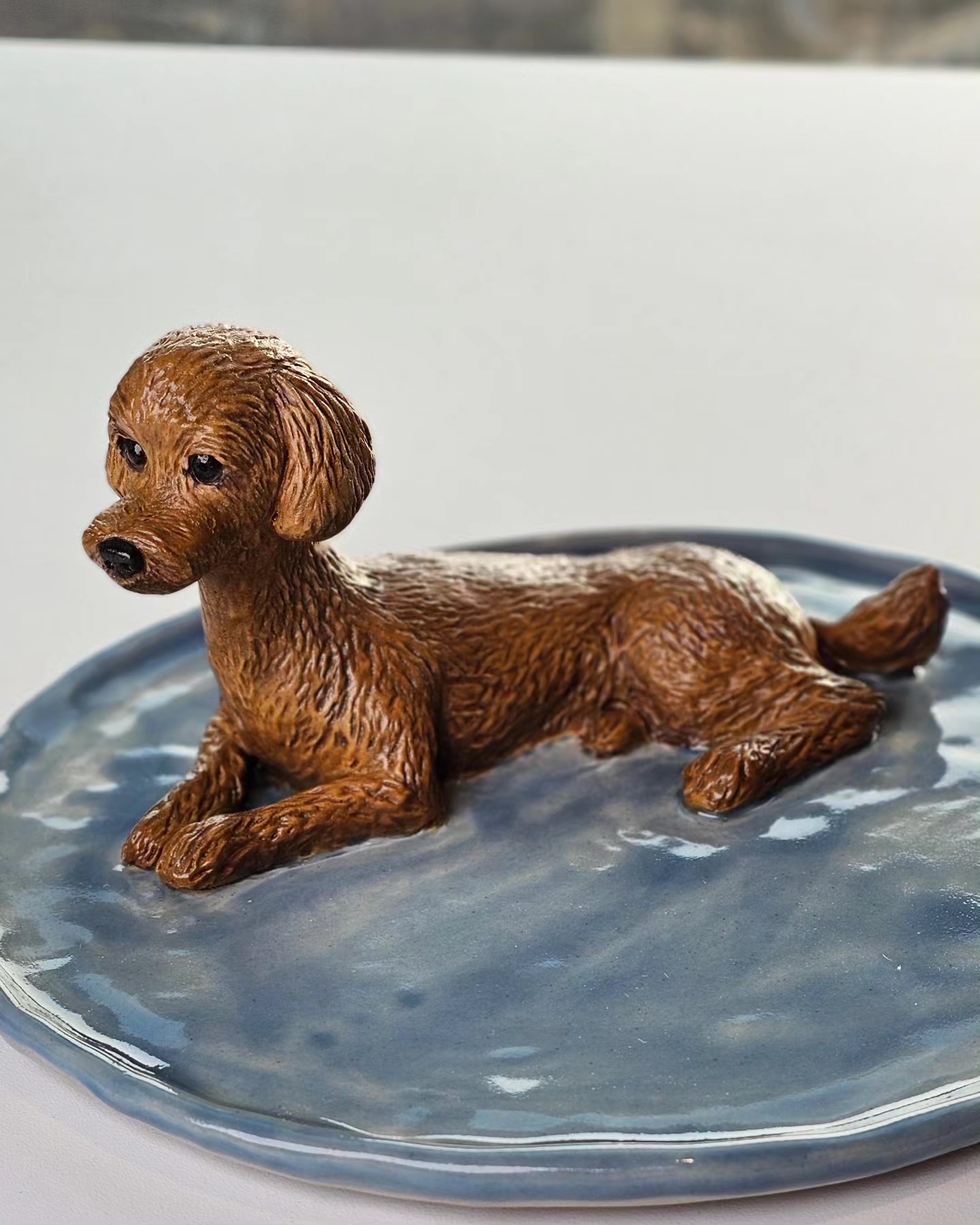 Poodle Poodle