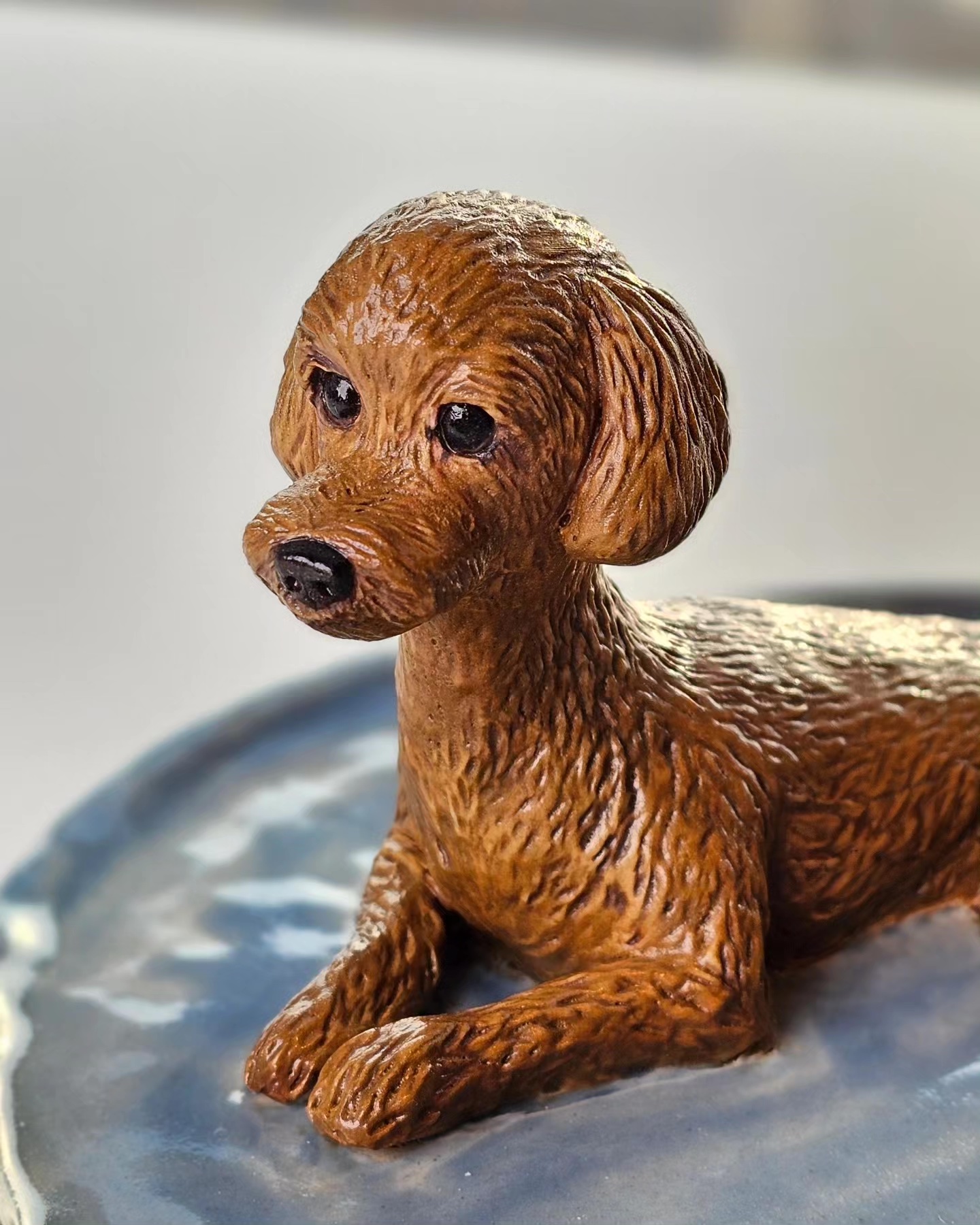 Poodle Poodle