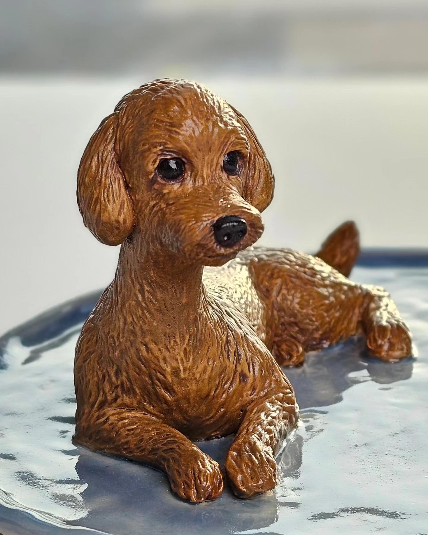 Poodle Poodle