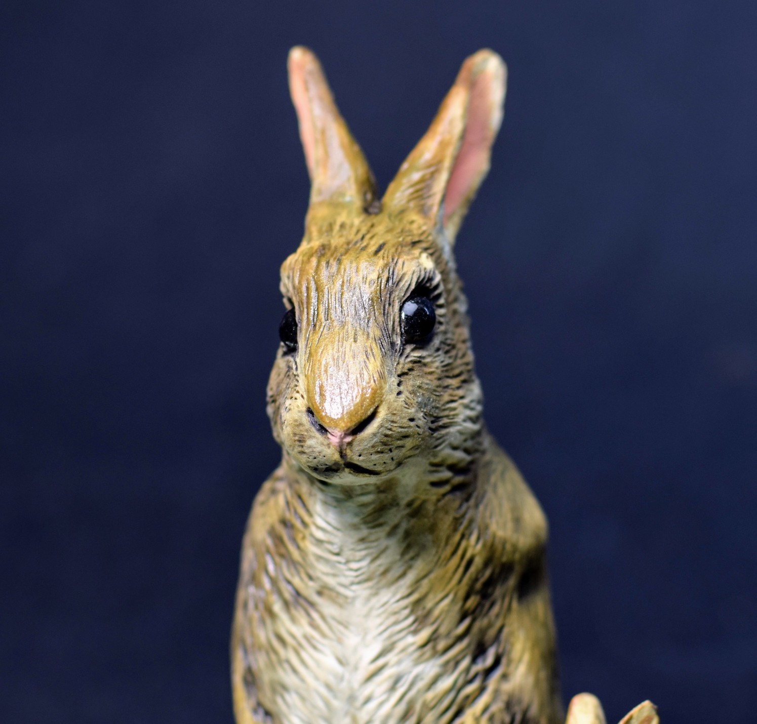 Rabbit Doe and Bunny