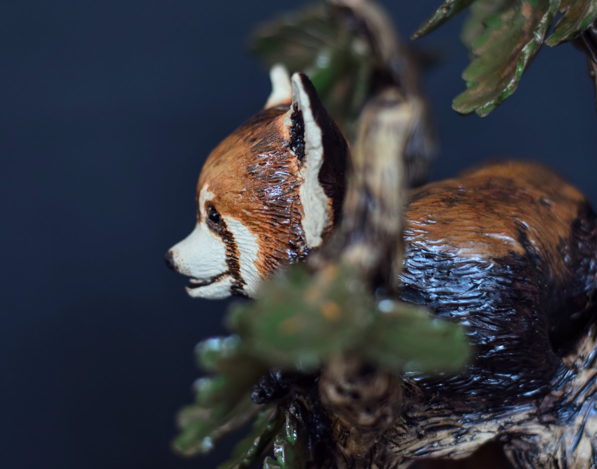 Red Panda