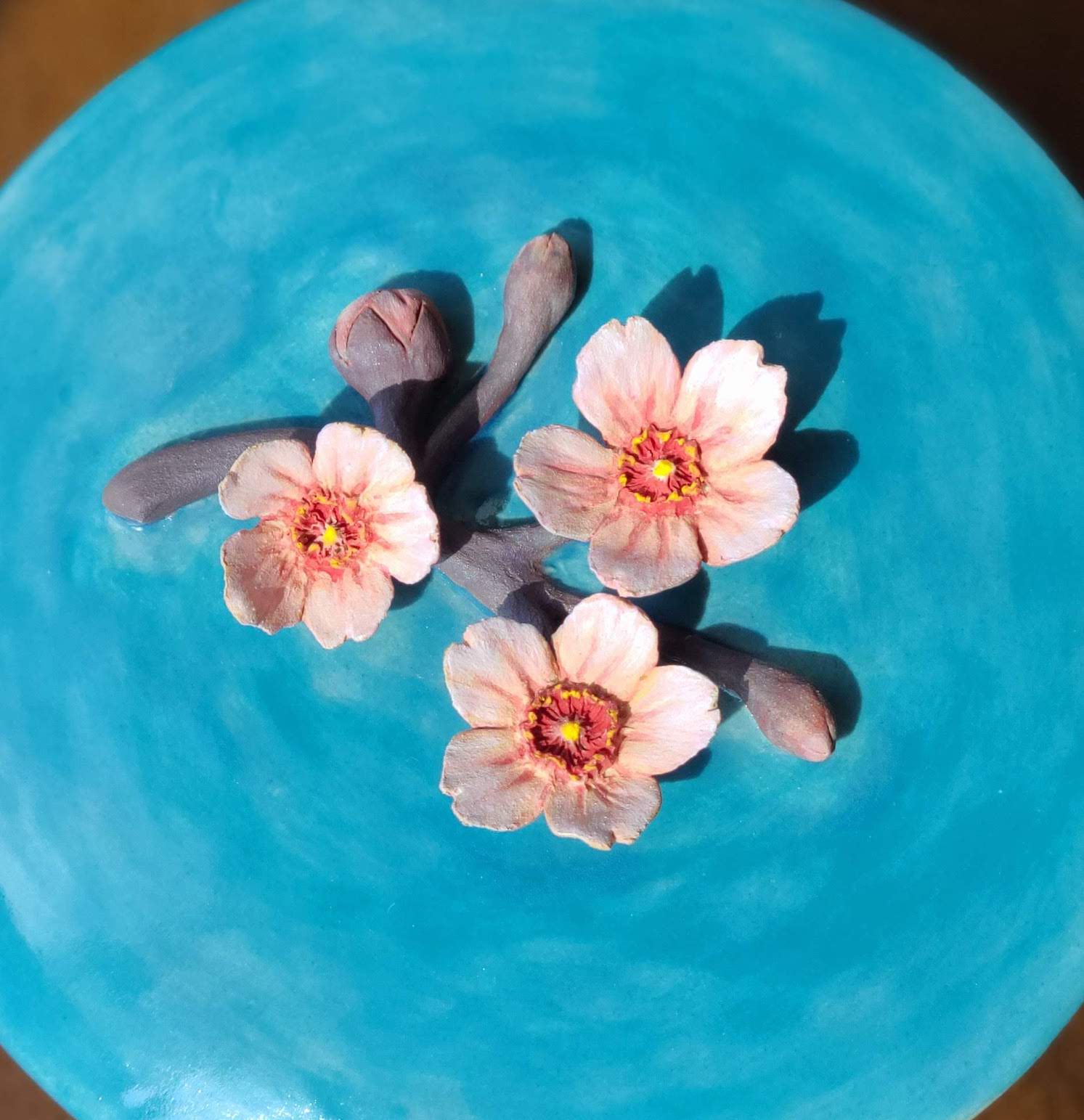 Cherry Blossom Sakura