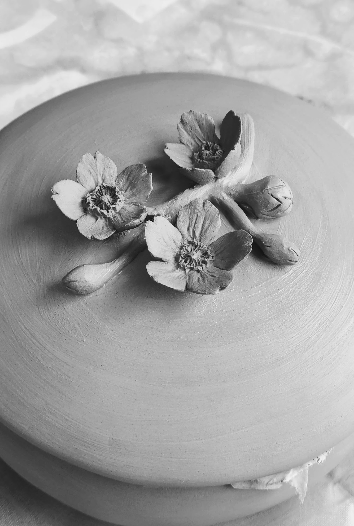 Cherry Blossom Sakura