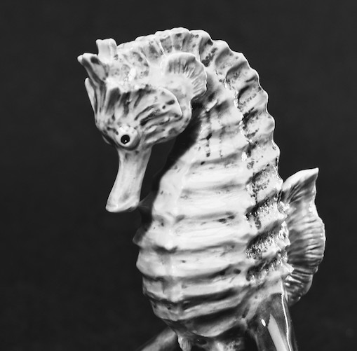 Seahorse