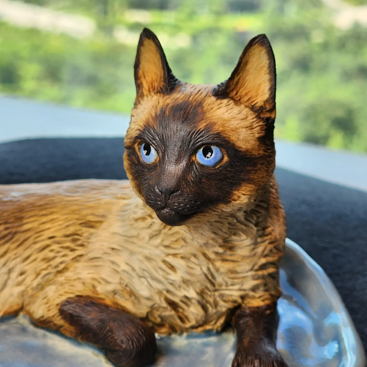 Siamese Cat