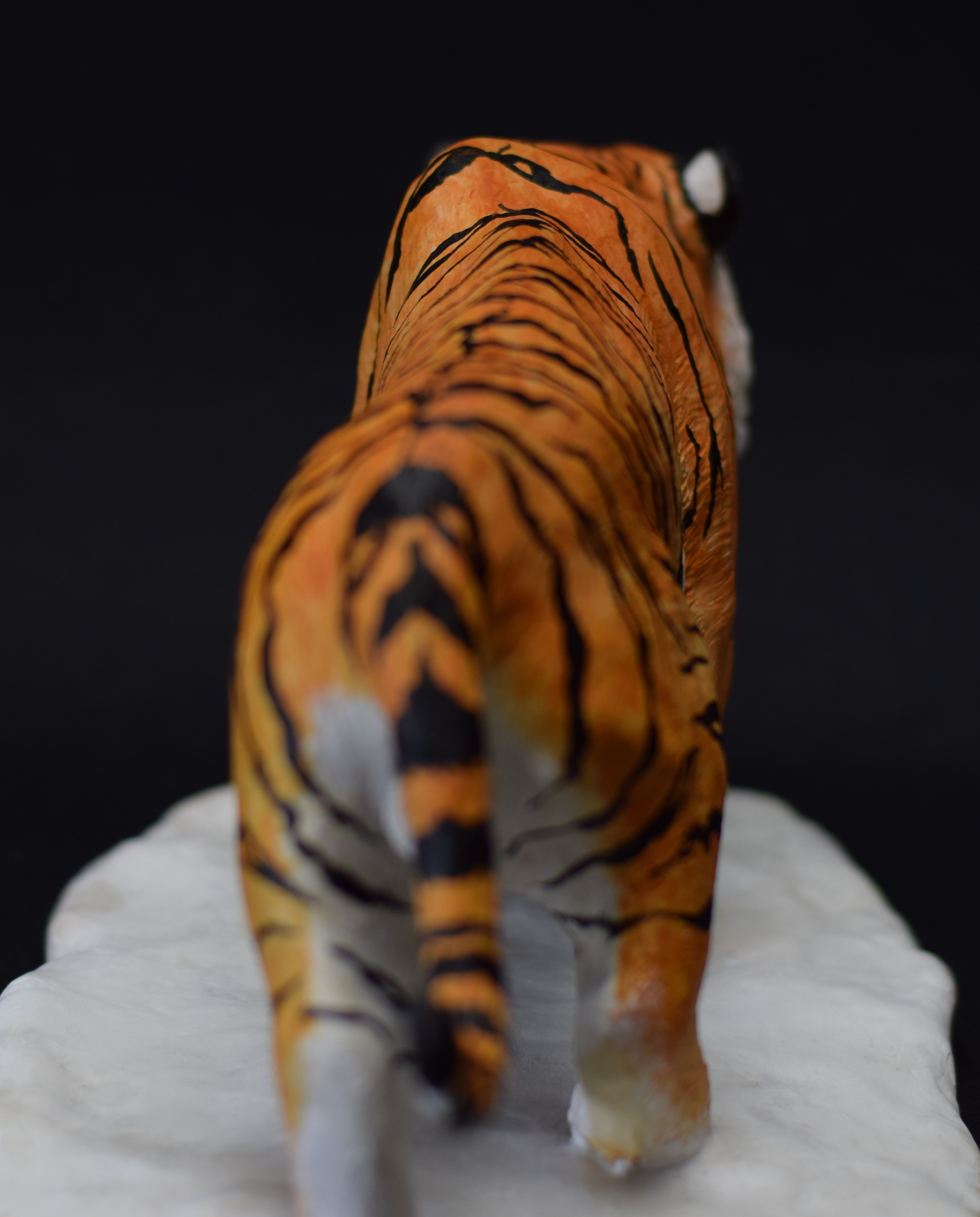 Siberian Tiger