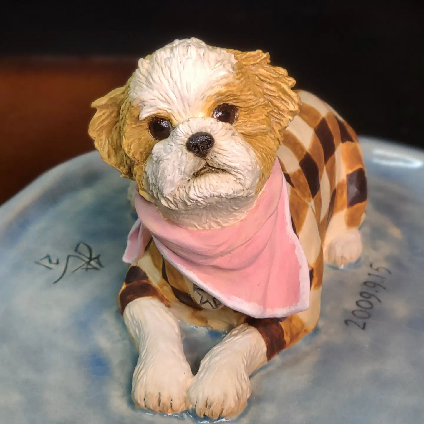 Teddy Shih Tzu