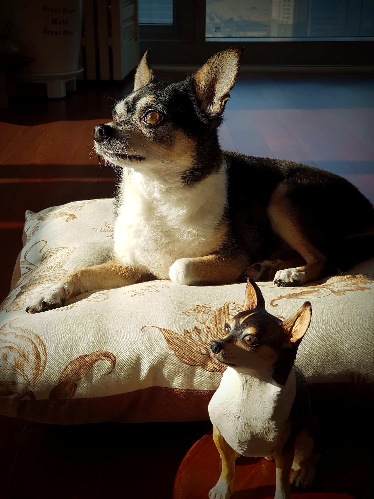 Tuco