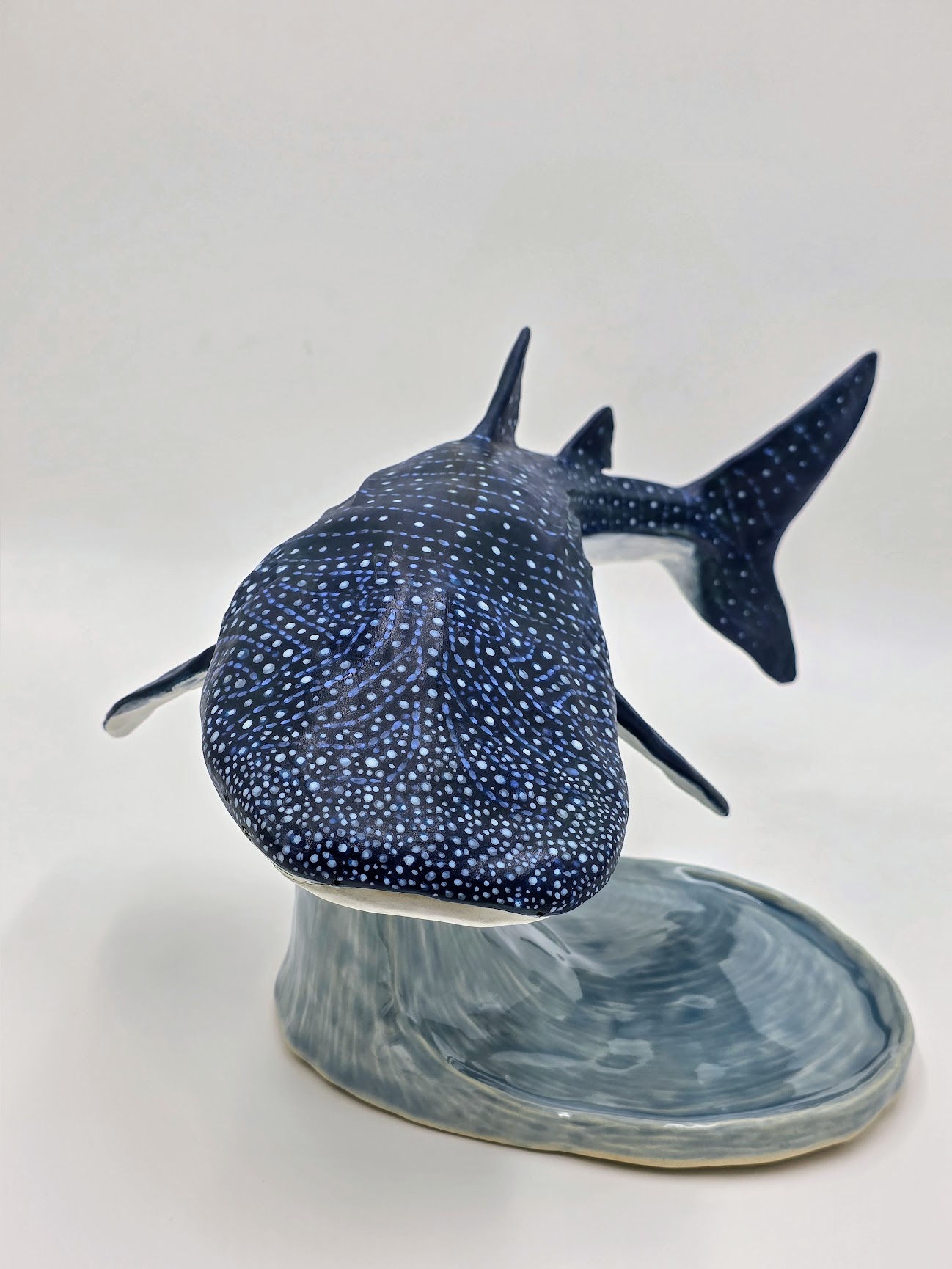 Whale Shark Whale Shark
