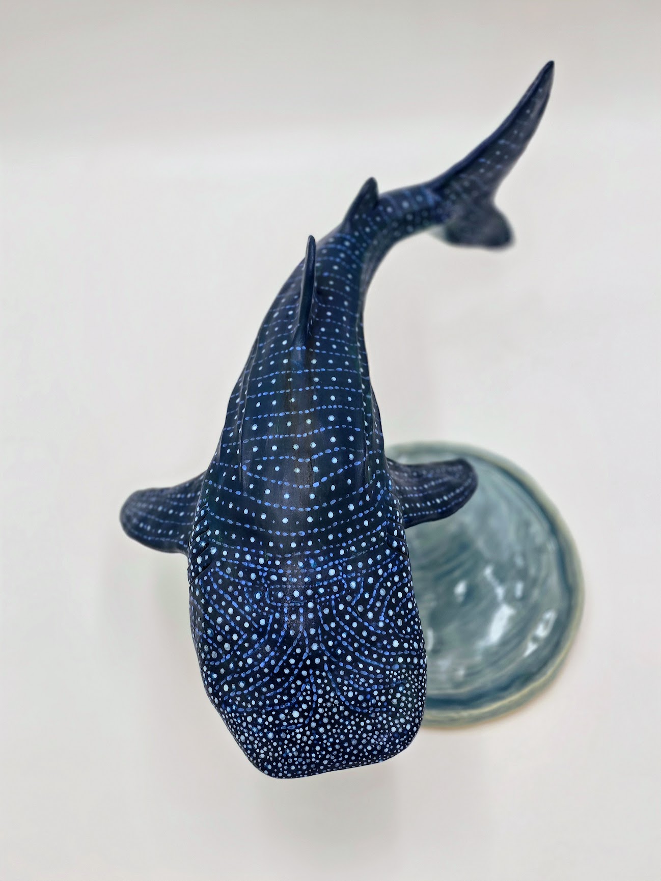 Whale Shark Whale Shark