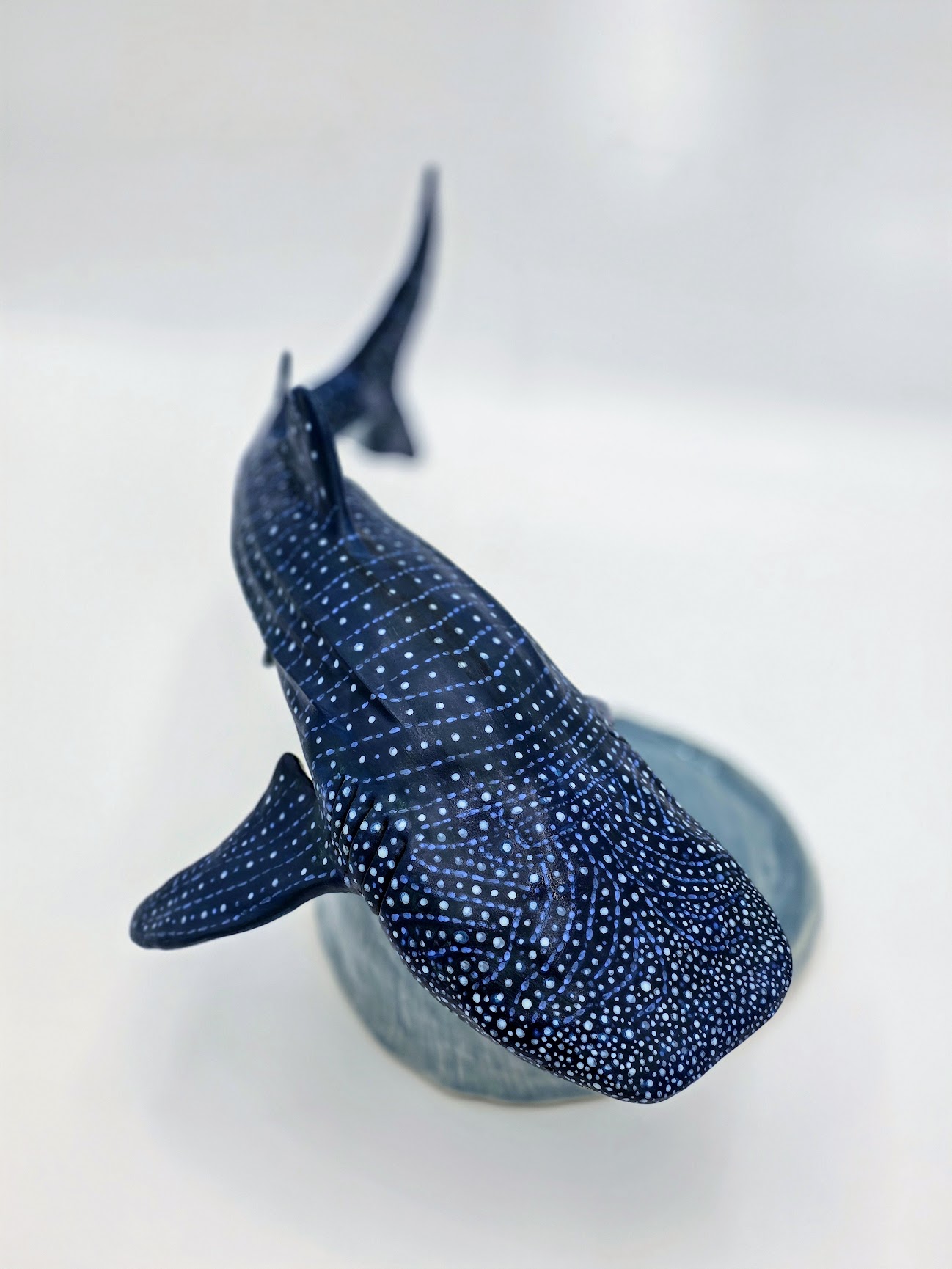 Whale Shark Whale Shark