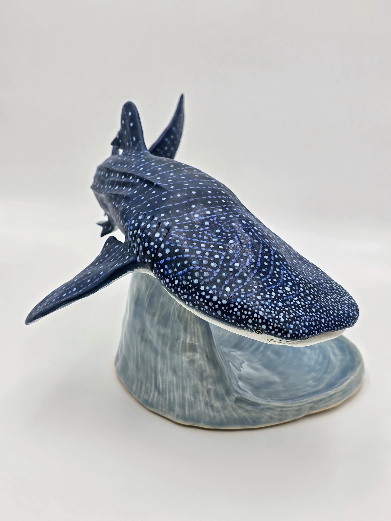 Whale Shark Whale Shark