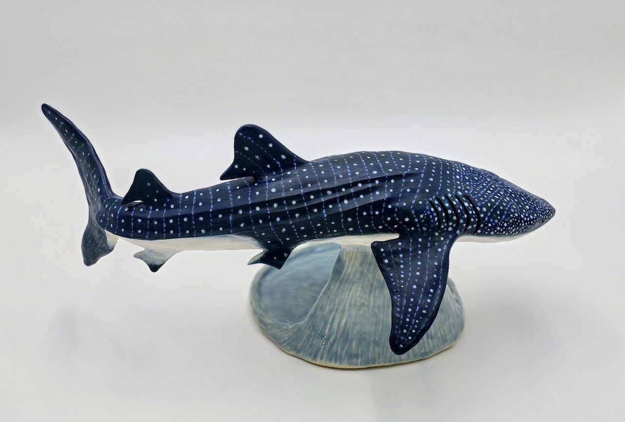 Whale Shark Whale Shark