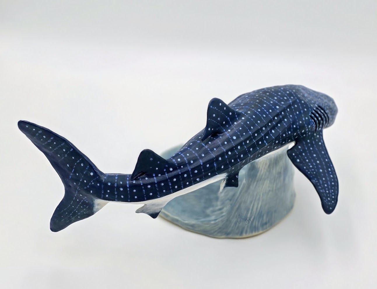 Whale Shark Whale Shark