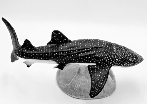 Whale Shark Whale Shark