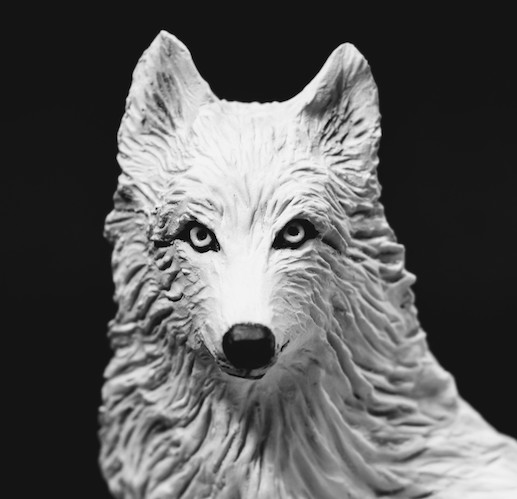 White Wolf White Wolf