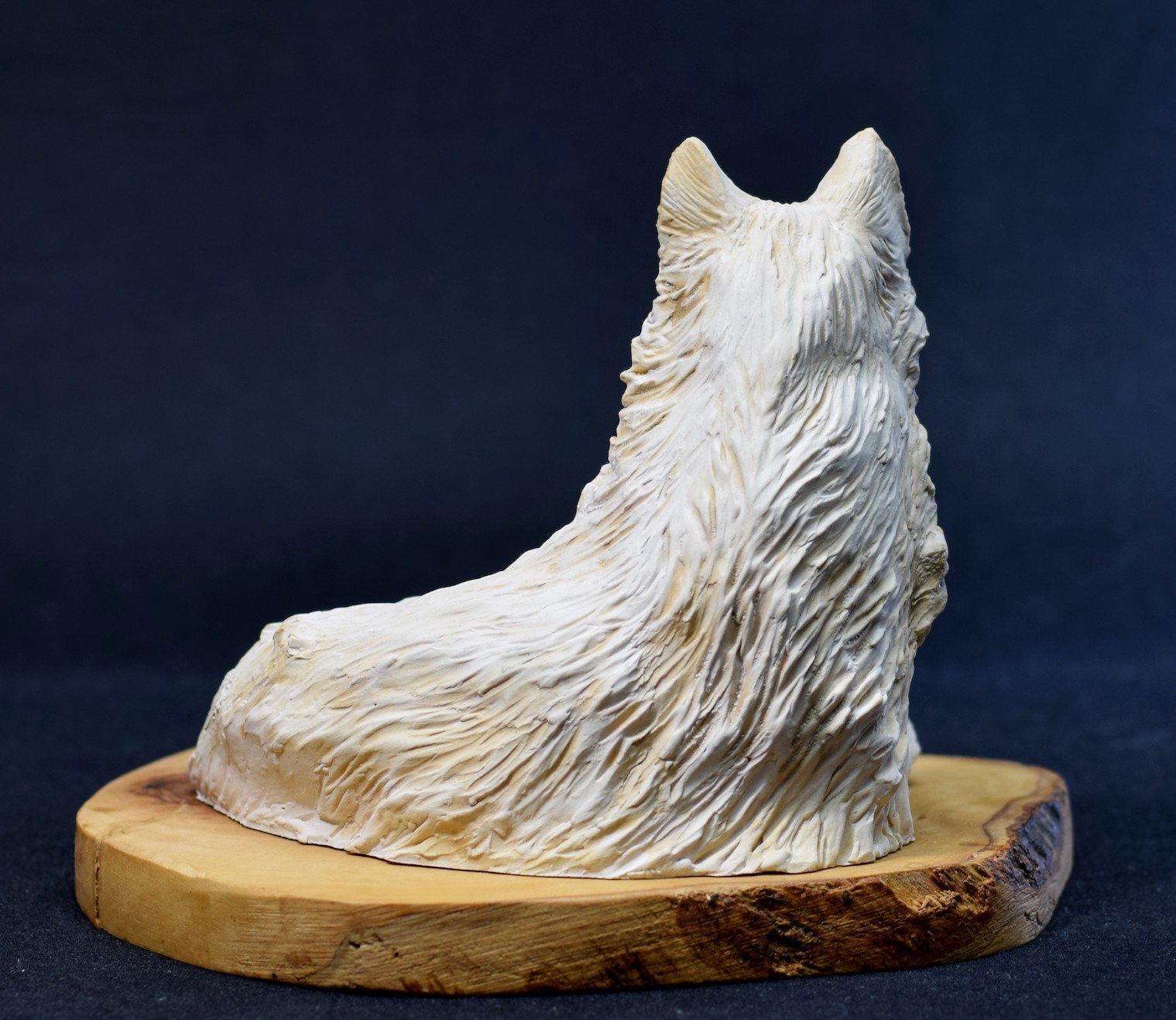 White Wolf White Wolf
