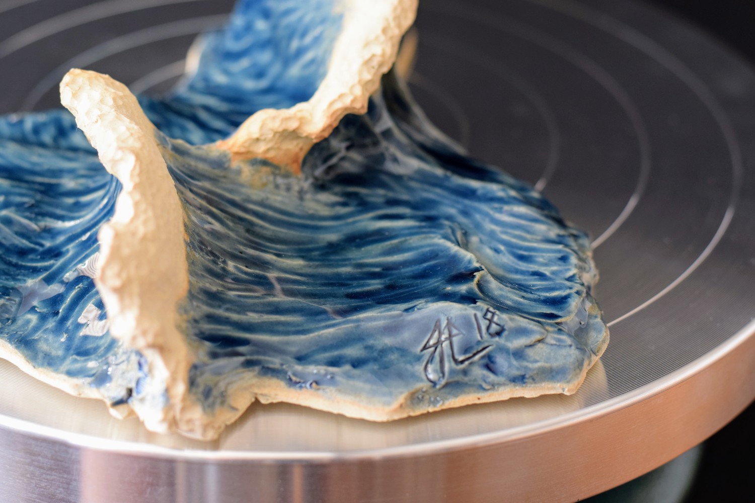 Flying FishFlying Fish