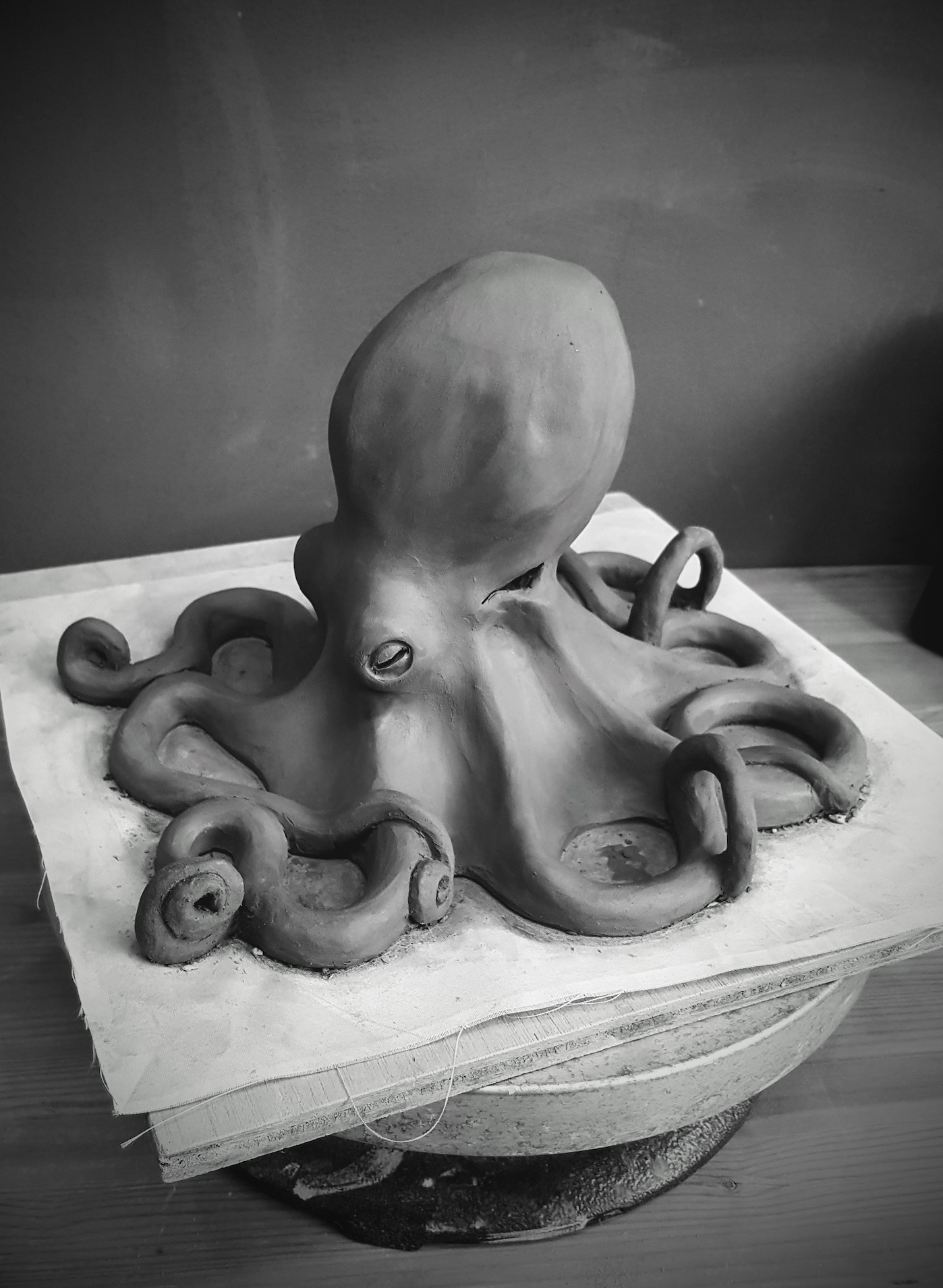 Octopus iPad Holder