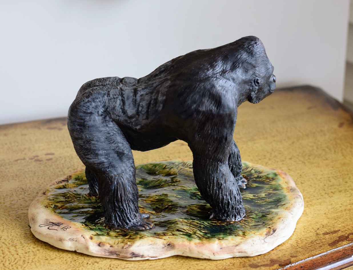 The Gorilla Shabani